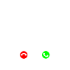 Cairn Terrier
