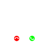 Chien de Canaan
