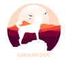 Chien de Canaan