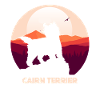 Cairn Terrier