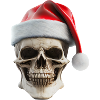 Christmas skull