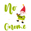 Pointed Hat Gnome Fantasy