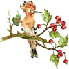 Bunter Vogel