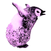 Bébé pingouin rose pleurant