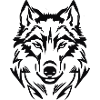 Cool graphic wolf, wolf's head