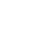Data Scientist Data Analyst