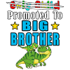 Promoted To Big Brother