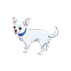 Chihuahua Dog Ankle Biter