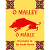 O MALLEY NACHNAME