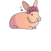 Hare