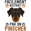 Doberman PINSCHER