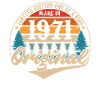 Made in 1971 Original