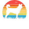 Canaan dog