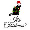 Cat Christmas