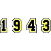 1943 Year Number