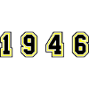 1946 Year Number