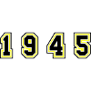 1945 Year Number