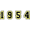 1954 Year Number