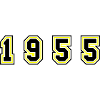 1955 Year Number