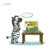 Maskotti Veggie Zebra