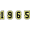 1965 Year Number
