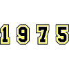 1975 Year Number