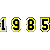 1985 Year Number
