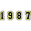 1987 Year Number