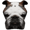Hundeshirts mann, cooles Hundemotiv