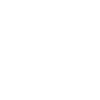 Languste - Fisch Meereswesen Tierfreund