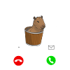 Capybara Meme