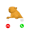 Capybara Meme