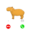 Capybara