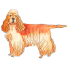 American CockerSpaniel sticker