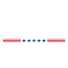 Hoodie Michigan