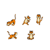 Yoga du tigre