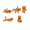 Cat Yoga