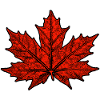 Érable / Feuille