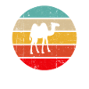 Camel Retro