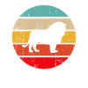 Lion Retro