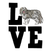 Bearded Collie