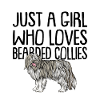 Bearded Collie