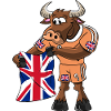 England Fan Taurus