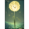 Dandelion Dandelion Asteraceae Flower Spring