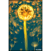 Dandelion Dandelion Asteraceae Flower Spring
