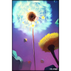 Dandelion Dandelion Asteraceae Flower Spring