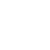 Bandwagon Fan 4