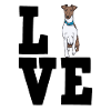 Fox terrier