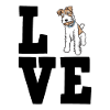 Fox-terrier