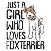 Fox terrier